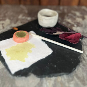 Cotinus pigment paint in a clay pot