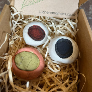 Mixed paints box Madder Indigo & Cotinus